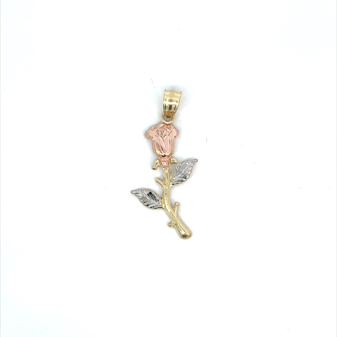 10K GOLD PENDANT VUSKP-101