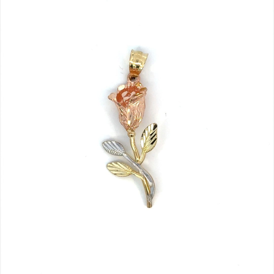 10K GOLD PENDANT VUSKP-102