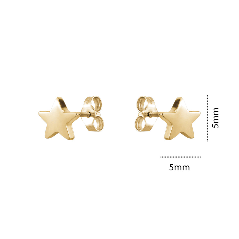 10KY TINY STAR STUD
