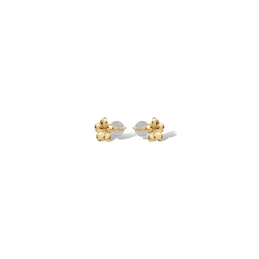 10KY FLOWER STUDS