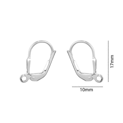 SILVER LEVER BACK HOOK