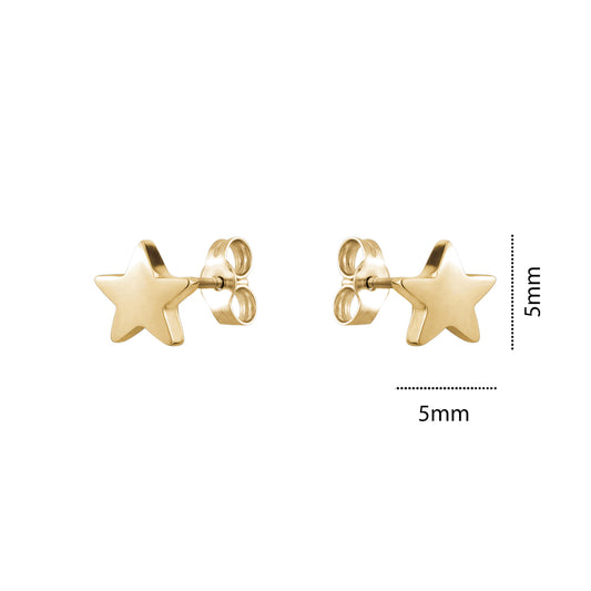 10KY TINY STAR STUD