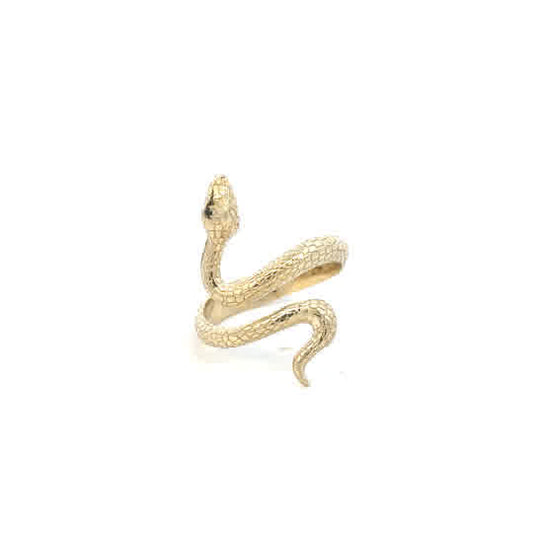10Y SNAKE RING ZJFR-078